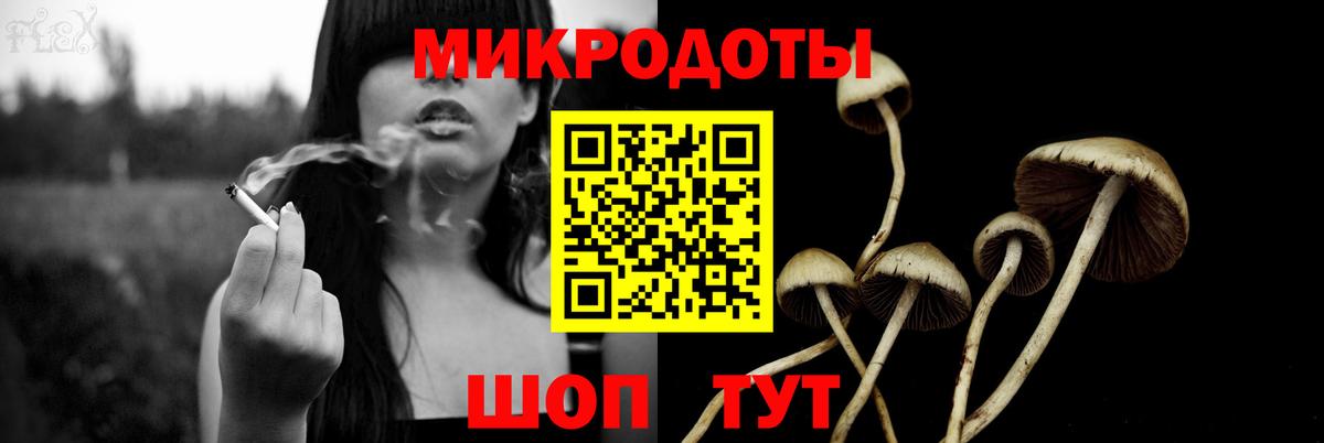Псилоцибиновые грибы прущие грибы  Псилоцибиновые грибы GOLDEN TEACHER  сколько стоит  Вход с VPN  Вологда 